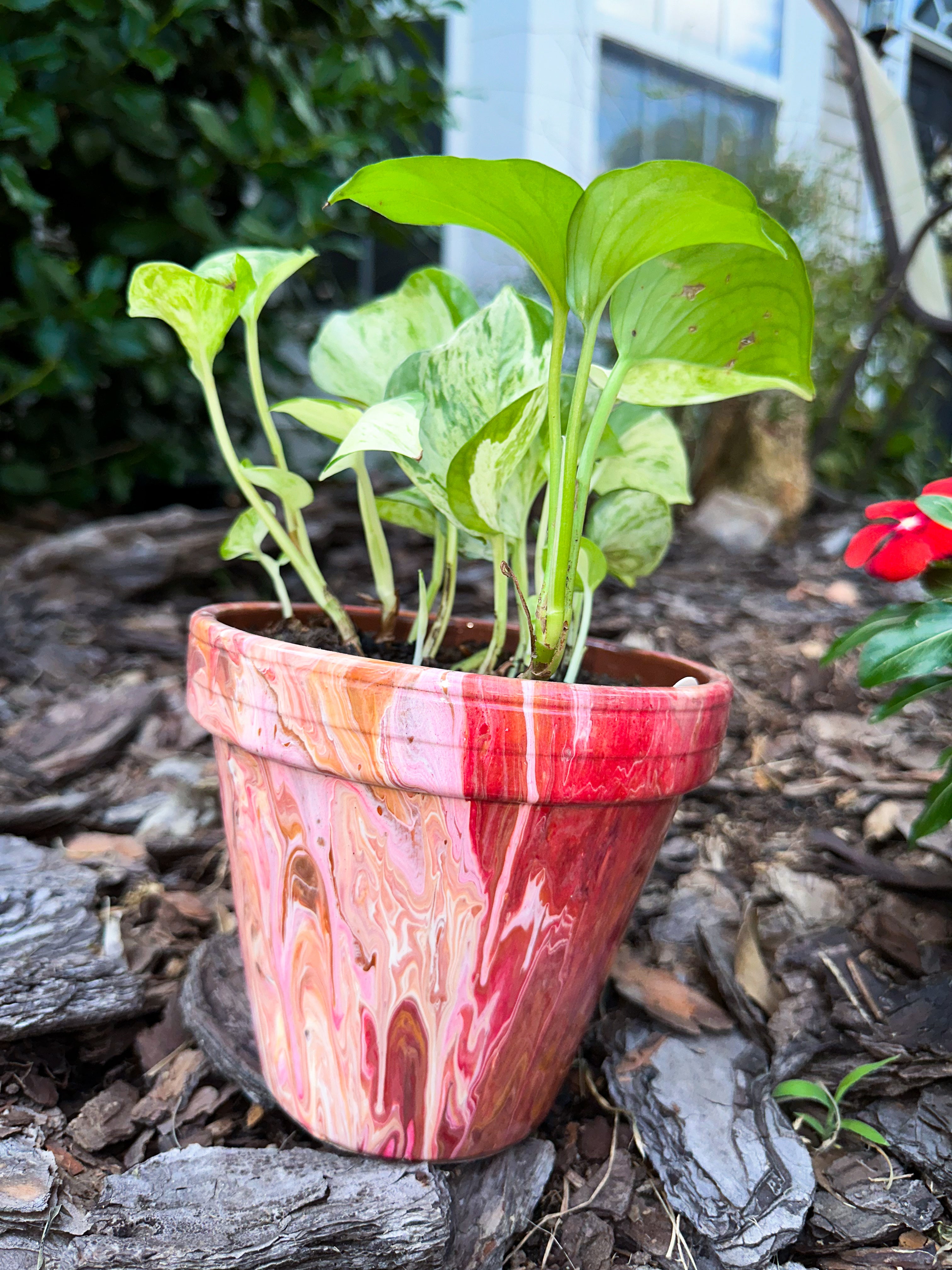 Strawberry Smoothie Flower Pot