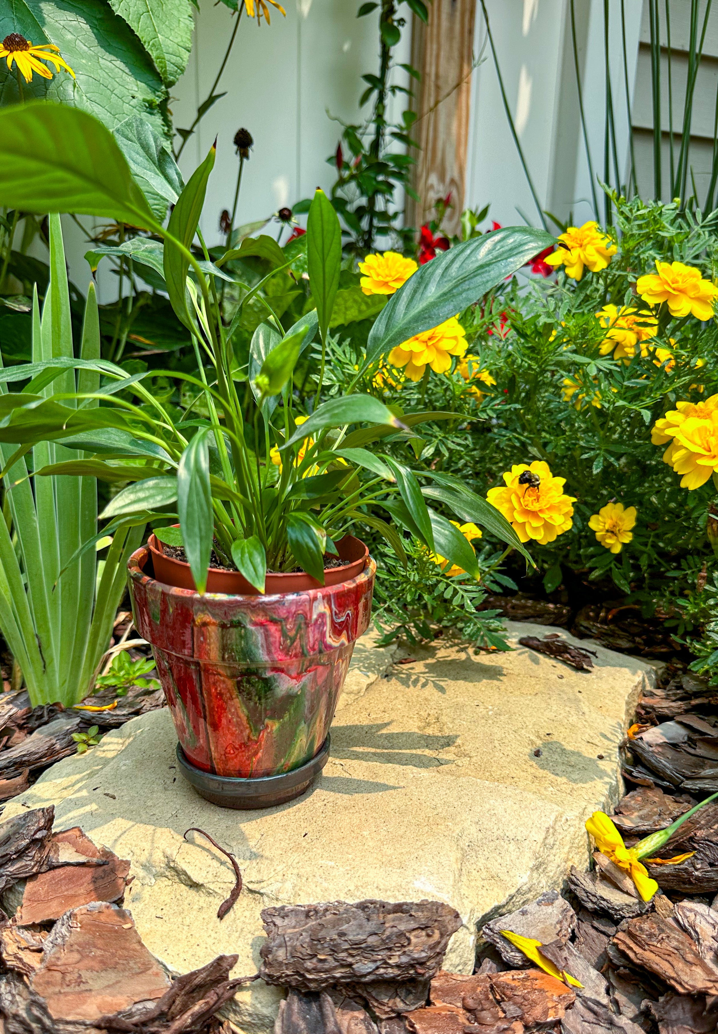 Red Pepper Mini Flower Pot