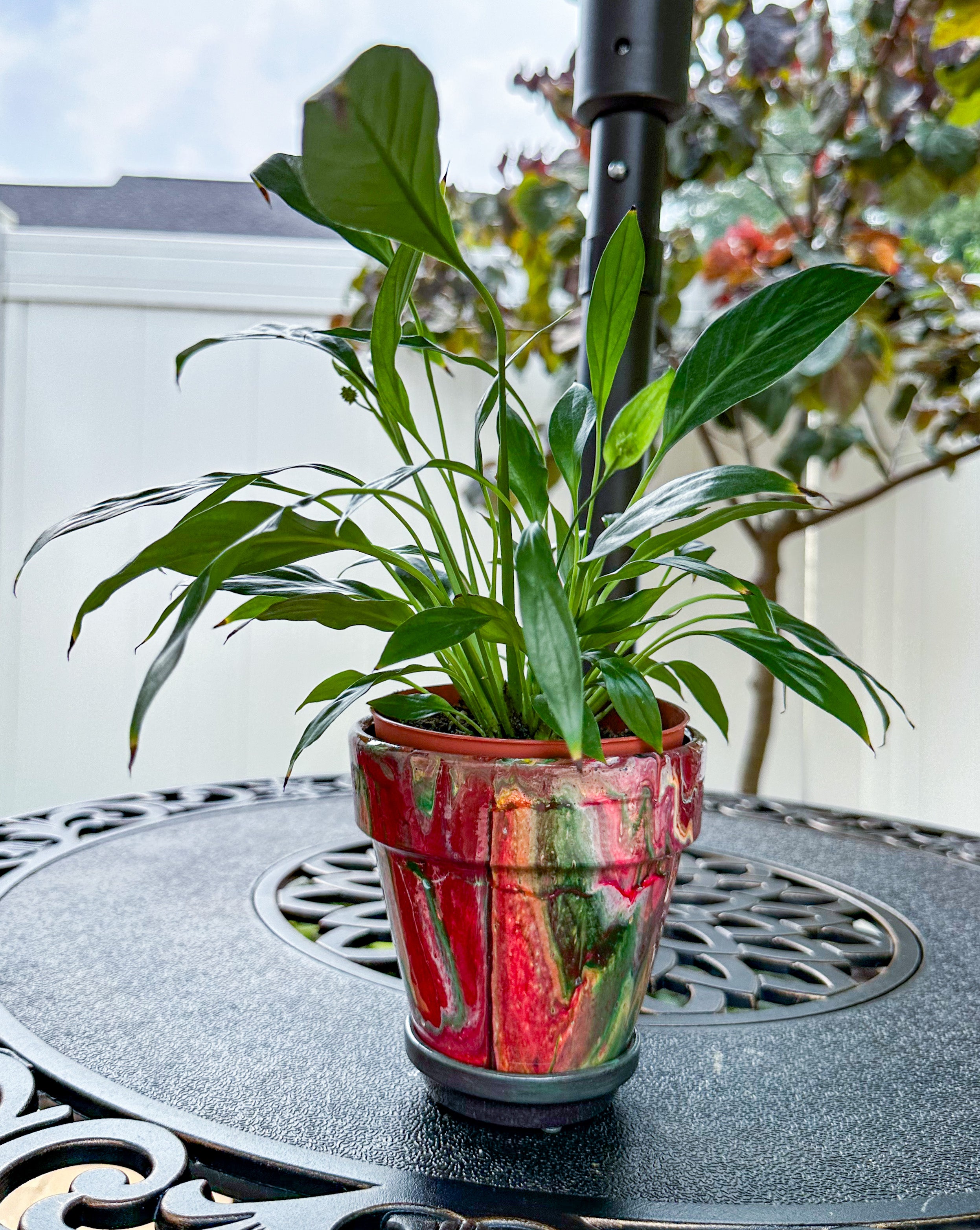 Red Pepper Mini Flower Pot
