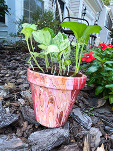 Strawberry Smoothie Flower Pot