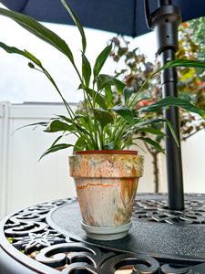 Orange Marbles Mini Flower Pot