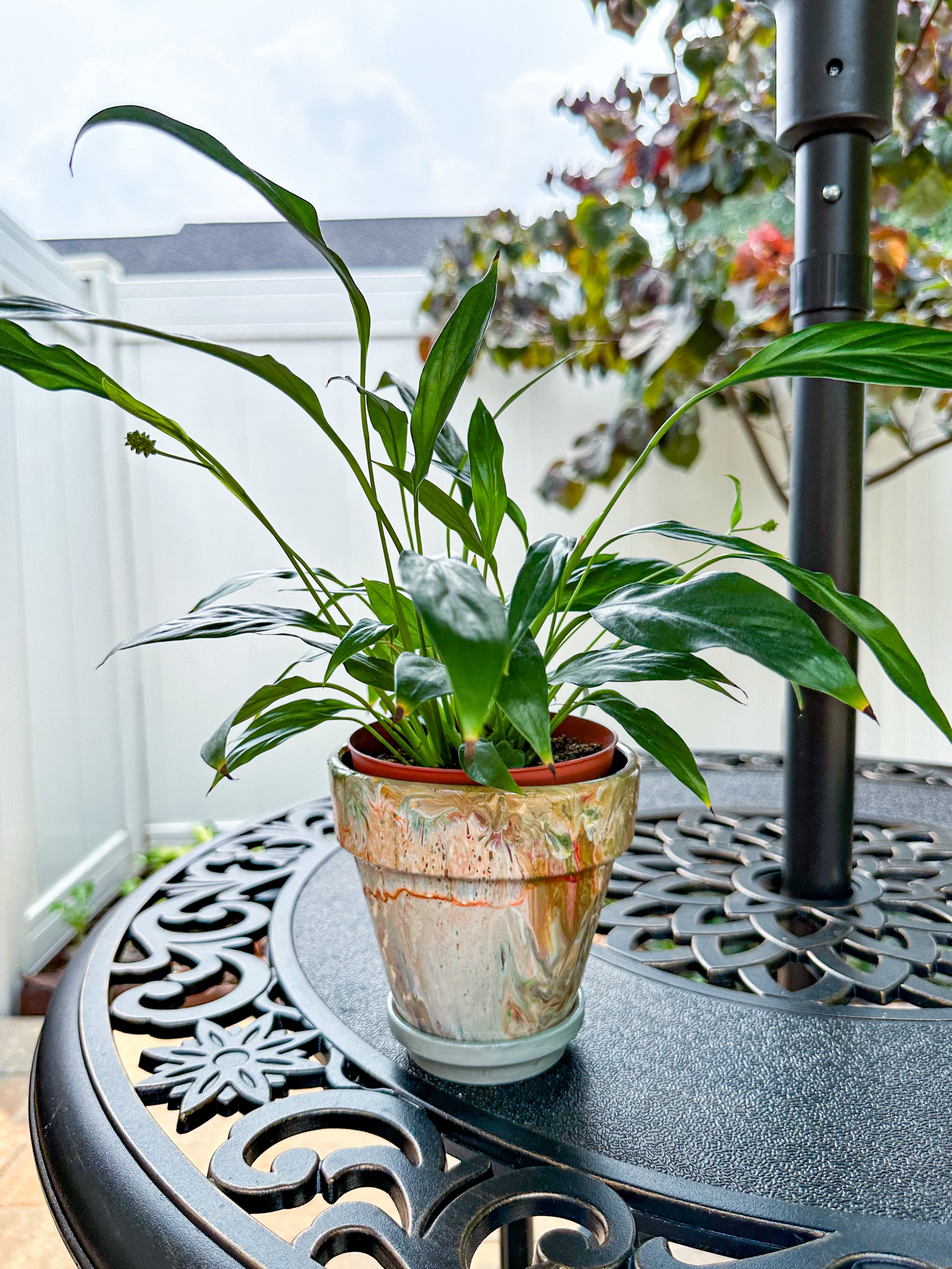 Orange Marbles Mini Flower Pot