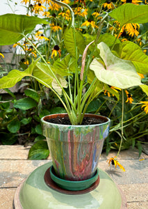 Earth Tones Flower Pot