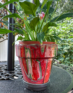 Red Pepper Mini Flower Pot