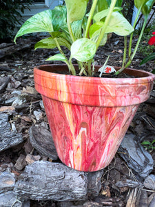 Strawberry Smoothie Flower Pot