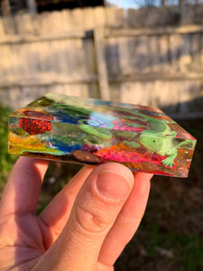 Rainbow Reptile Block