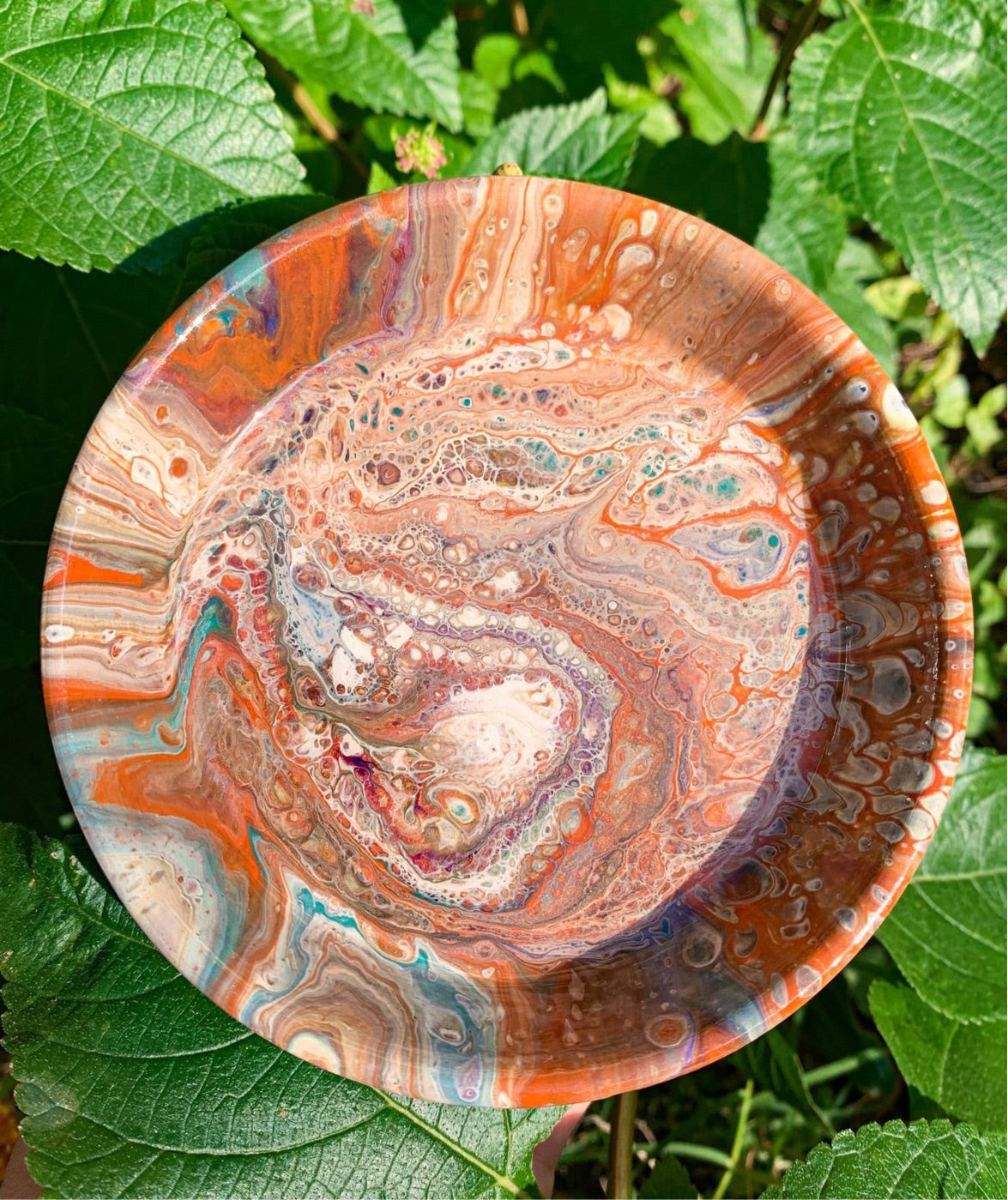 Squid Eyes Mini Tray