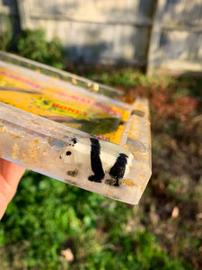 Honey Backwoods Panda Tray