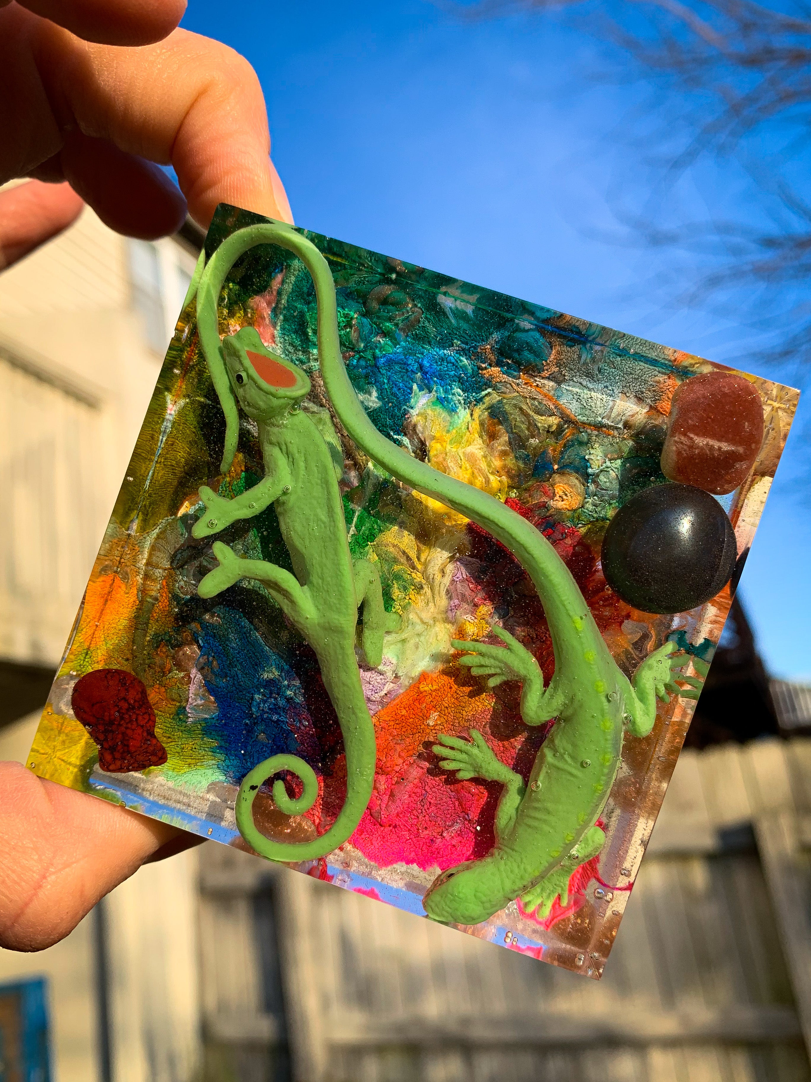 Rainbow Reptile Block