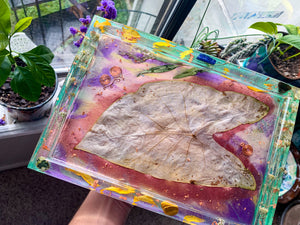 Orgonite Tray