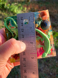 Rainbow Reptile Block
