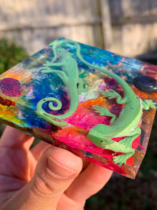 Rainbow Reptile Block