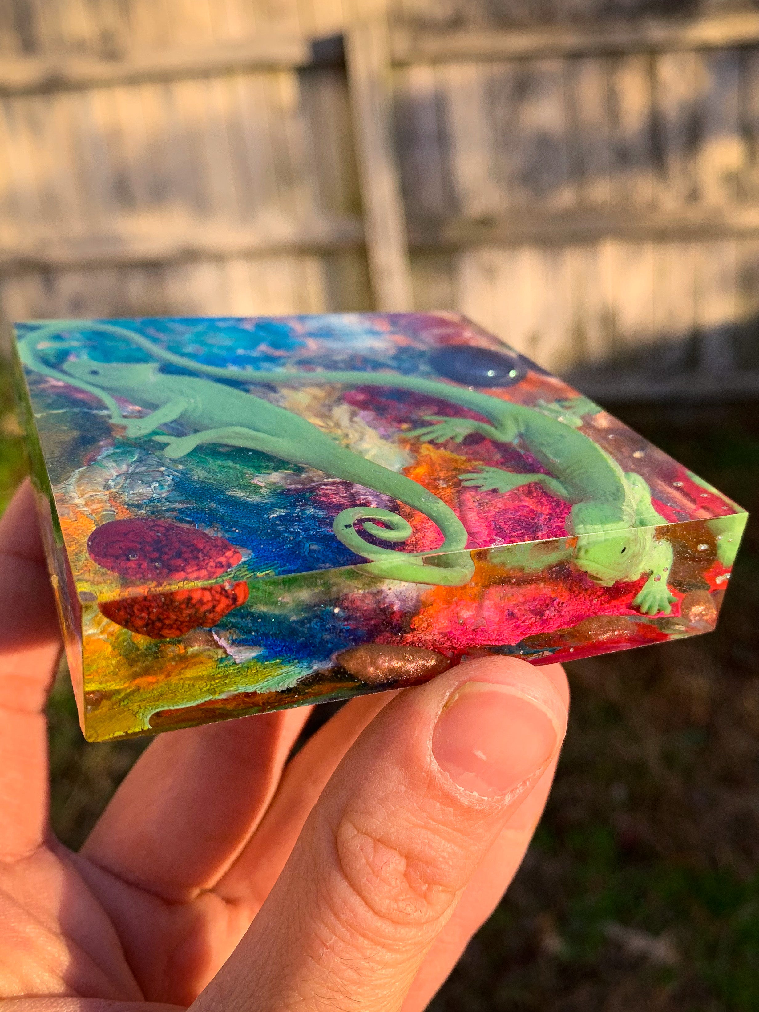 Rainbow Reptile Block