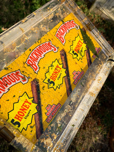 Honey Backwoods Panda Tray