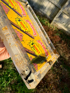 Honey Backwoods Panda Tray