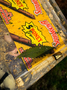 Honey Backwoods Panda Tray
