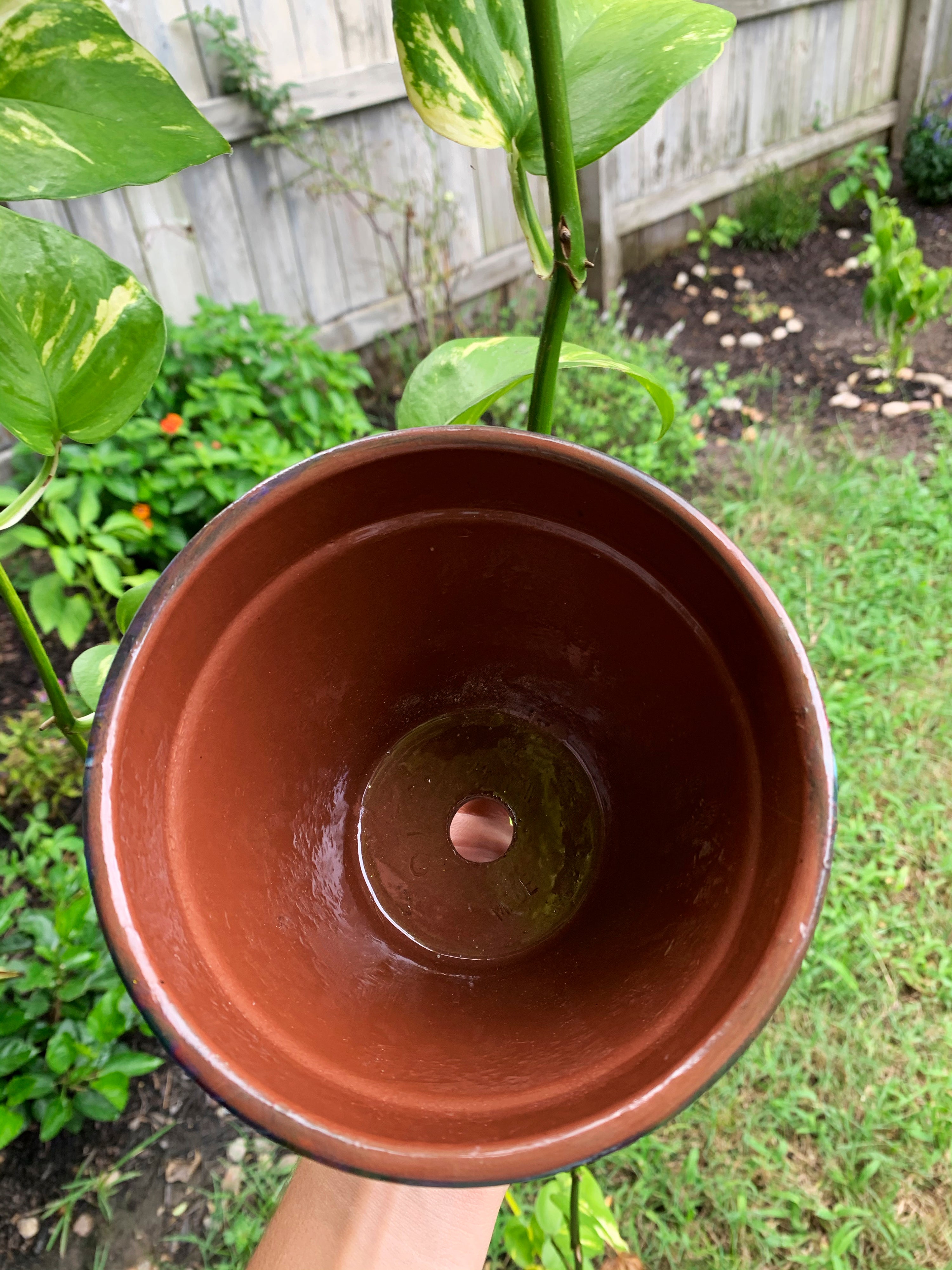 Flower Pot